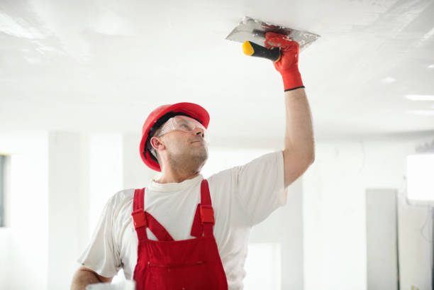 Best Attic Mold Removal  in USA